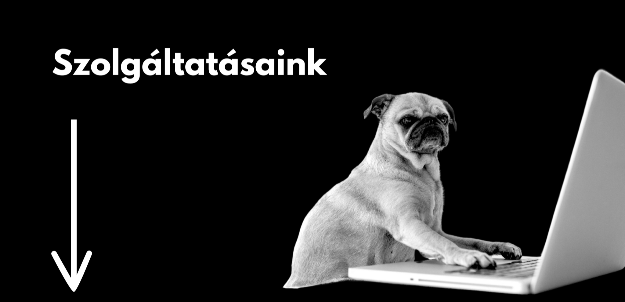 Marketing Szolgáltatások